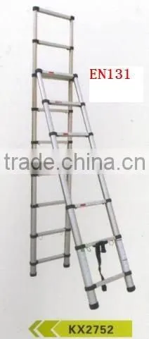 Double Telescopic Ladder