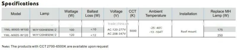 Modern Induction Lamp Ceiling Light