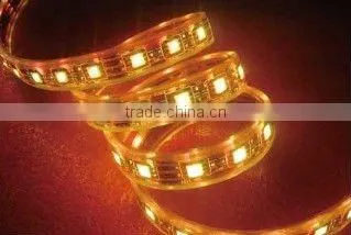 high quality Decoration waterproof flexible digital led strip