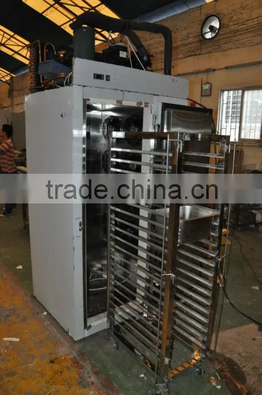Stainless steel food blast freezer with 2-trolley