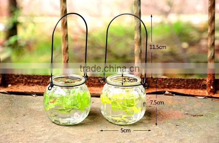 Pumpkin Shape Glass Vase Bottle for plant With Metal Handle Candle Hydroponic/Home Decoration
