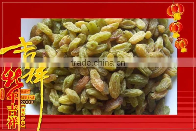 dried turkish sultana raisin