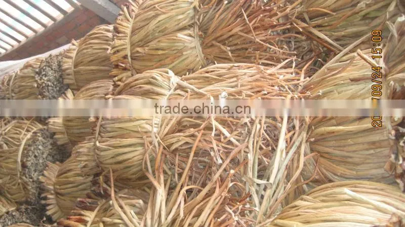 Dried Water Hyacinth _ QQ : 2598494113