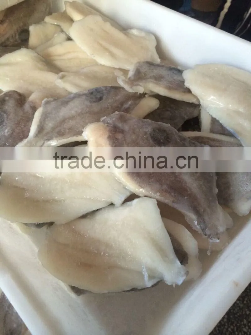 2016 Newly catch fresh high quality John dory fillts from China