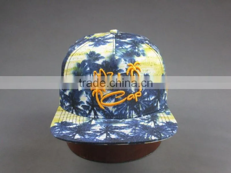 3D embroidery colorful 5-panel snapback