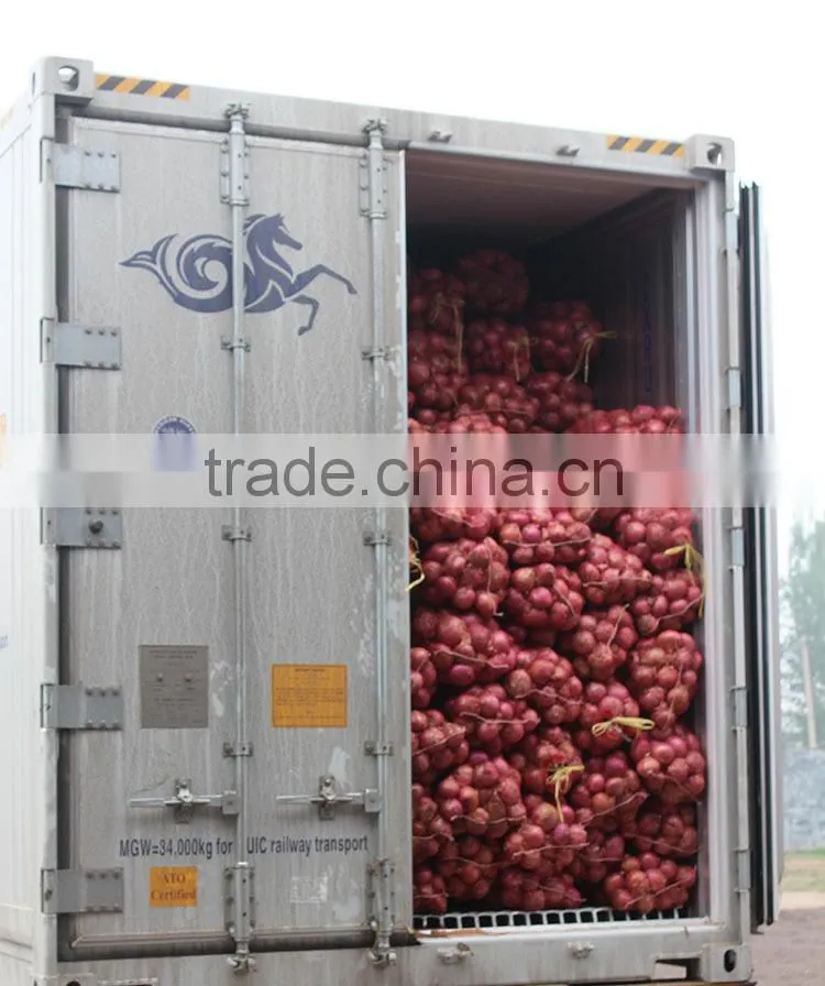 Chinese fresh onion 2016 export to dubai