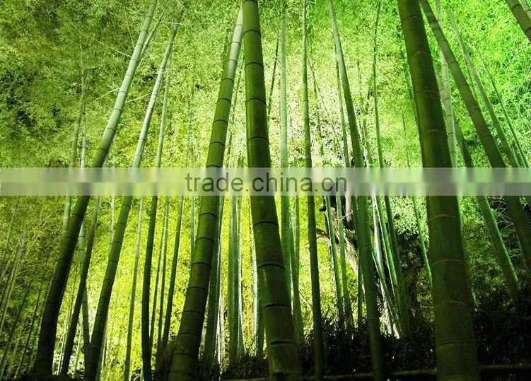 Bamboo Deck Flooring for Sale.