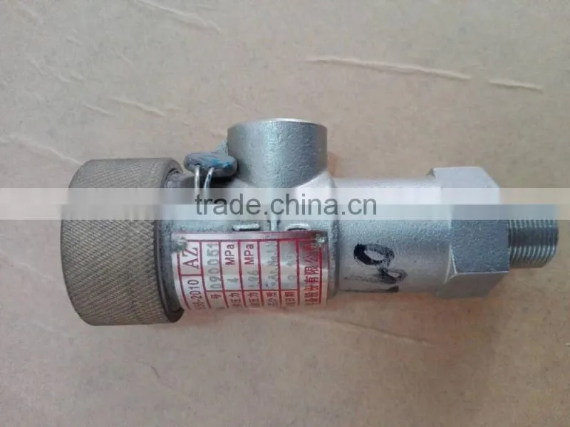 DN25 2.42MPa Safety Valve