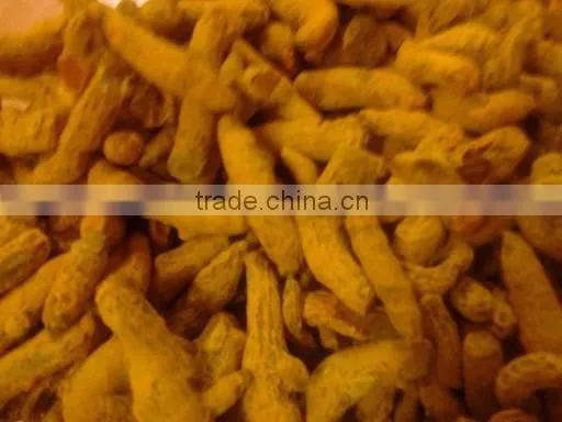 Fresh Turmeric / Dried Turmeric / Turmeric Finger