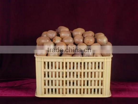 2016 new crop chinese fresh kiwi fruits with good quality