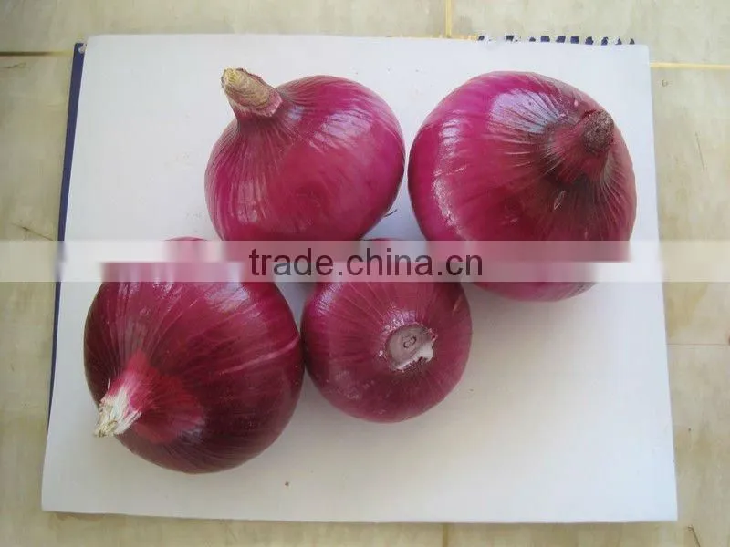 lowest price red onions price