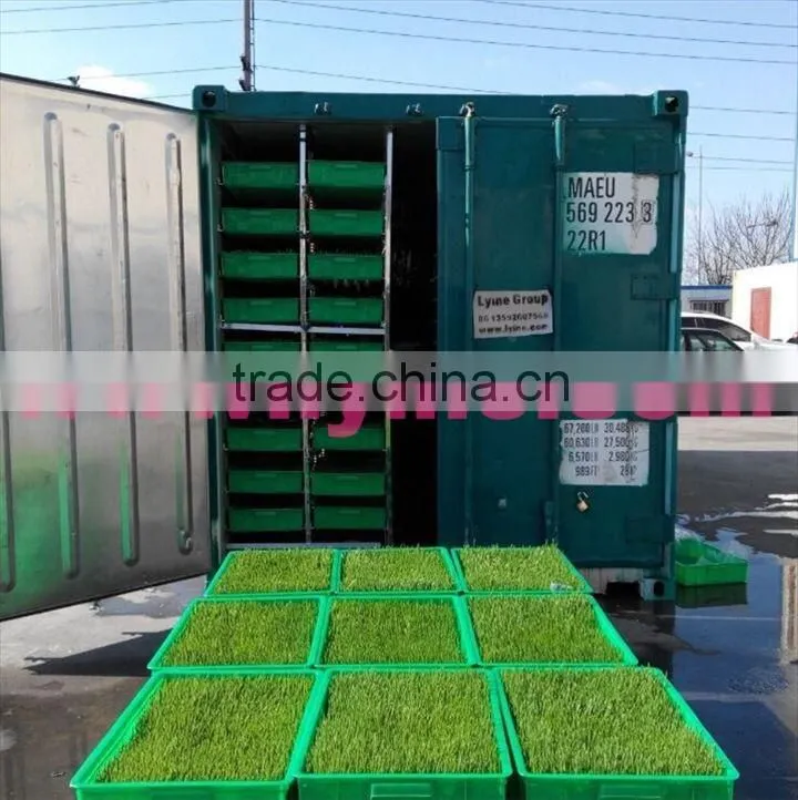 Made in China barley fodder hydroponic machine