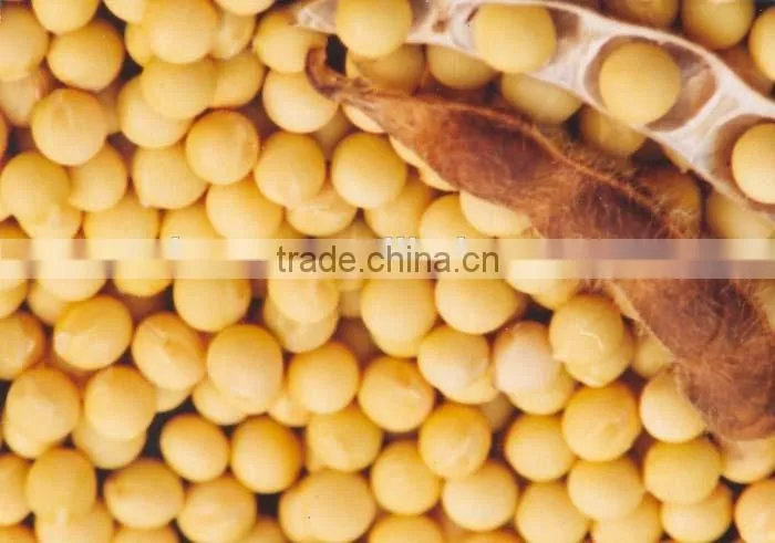 High Quality 98% Soya Lecithin / Soybean Phosphatidylcholine(PC)