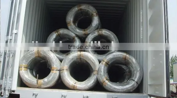 Galvanized Iron Wire