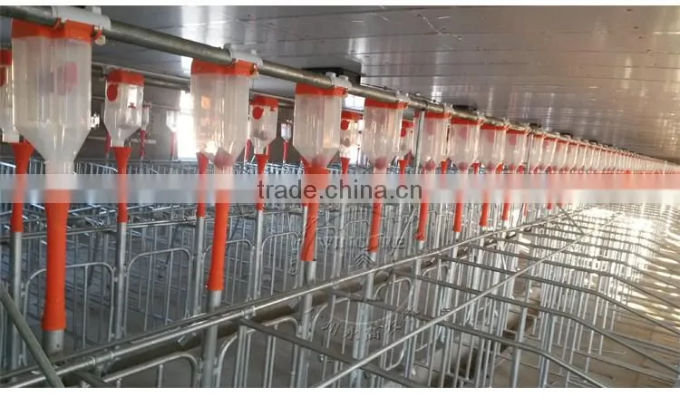 Automatic pig feeding system for fattening pig