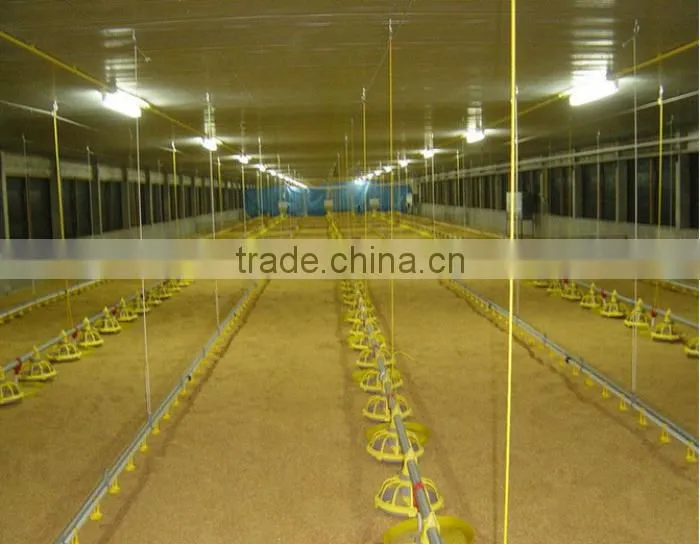 cheap chicken farm automatic drinking system 2016