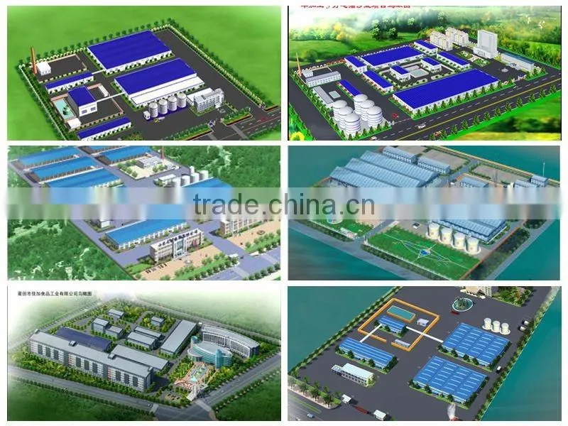 China automatic sunflower seed oil extration and refinery plant with CE