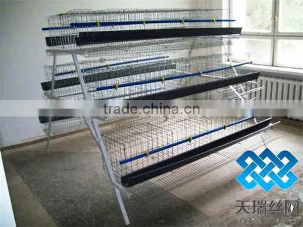 hot-sale good quality poultry farm layer chicken cage