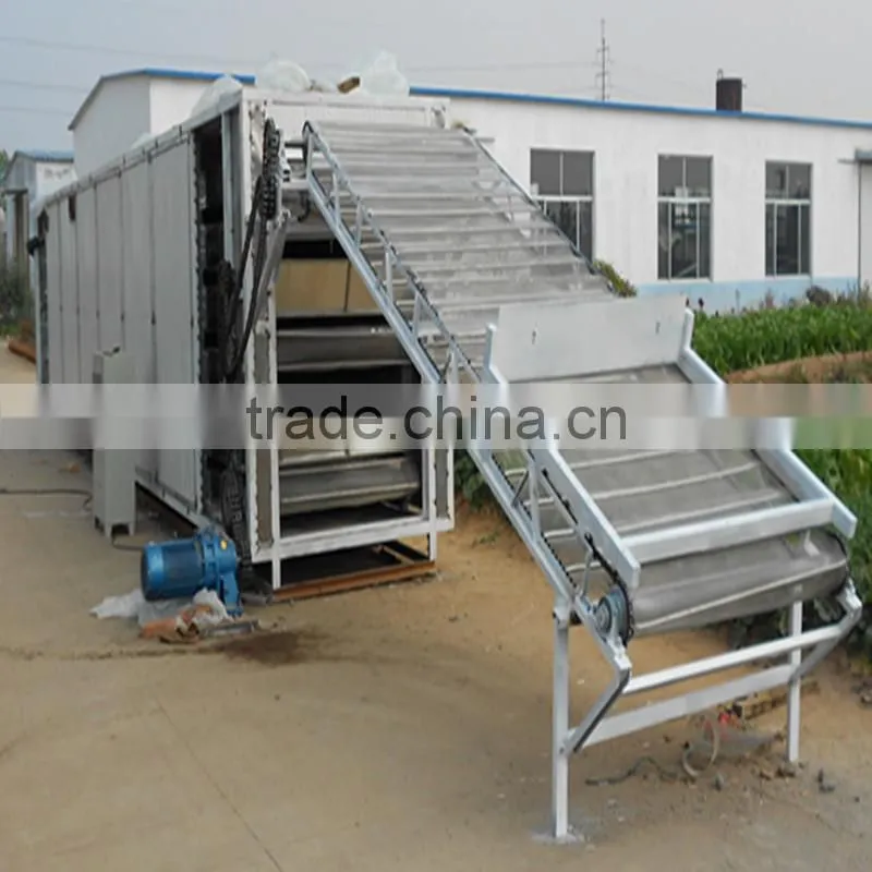 Double Win hot sell turmeric drying machine,continuous belt microwave drying machine,microwave drying sterilization equipment