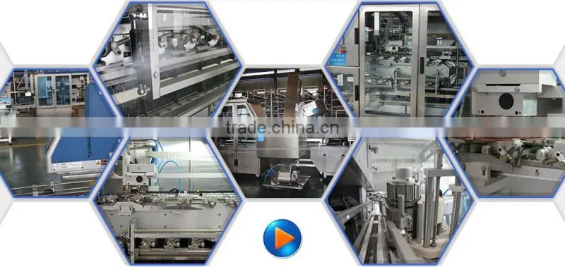 Advanced German Technology Full Automatic Capping Machine
