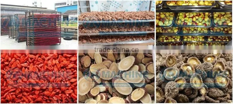 Stainless fruits dryer machine with lowest price