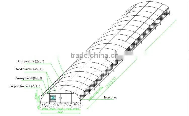 plastic & poly tunnel greenhouse/factory price
