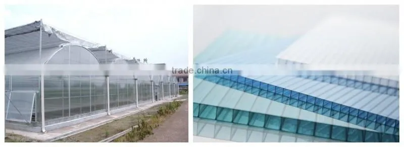 Multi-Span Agricultural Greenhouses Type and PC Sheet Cover Material Commercial Greenhouses
