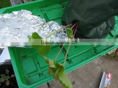 Hanging planting bags,Hanging Flower Pouches,Hanging Plant Bag