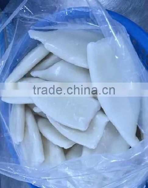 Frozen Squid Tube U5