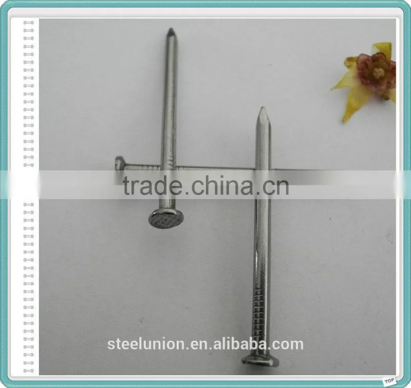 Factory Common Wire Nail/Common Nail for Construction/Common Nail