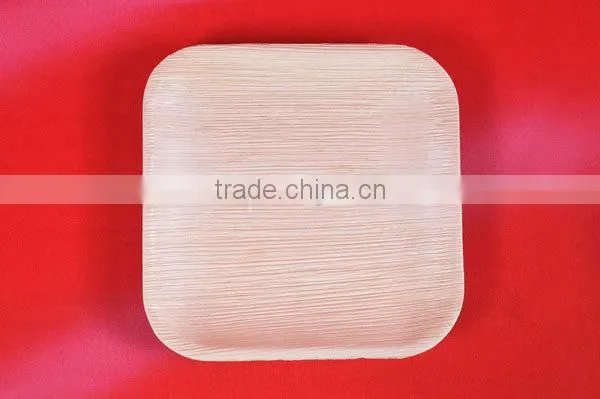 ARECA DISPOSABLE PLATES