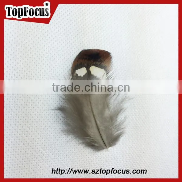 hot sale dyed Wholesale Natural cheap artificial pheasant feathers prices