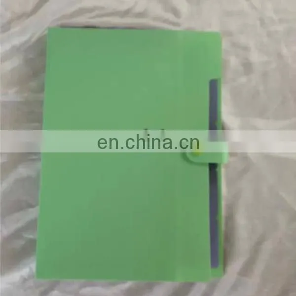 Expandable Wallet Plastic File Folder With 12 Pockets