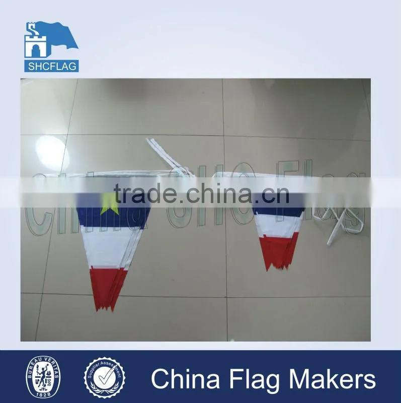 Custom made PE bunting flags