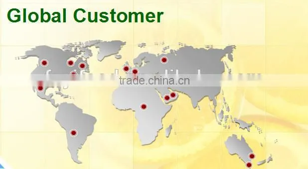 Chinese vegetable fresh arrow root on sale