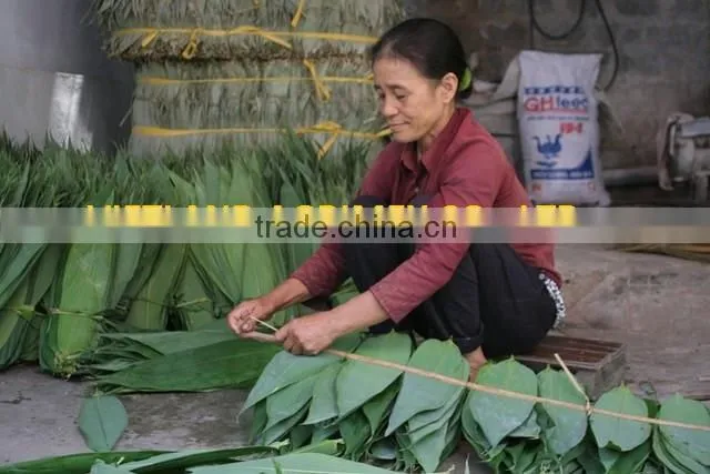 Dry big size Bamboo Leaves