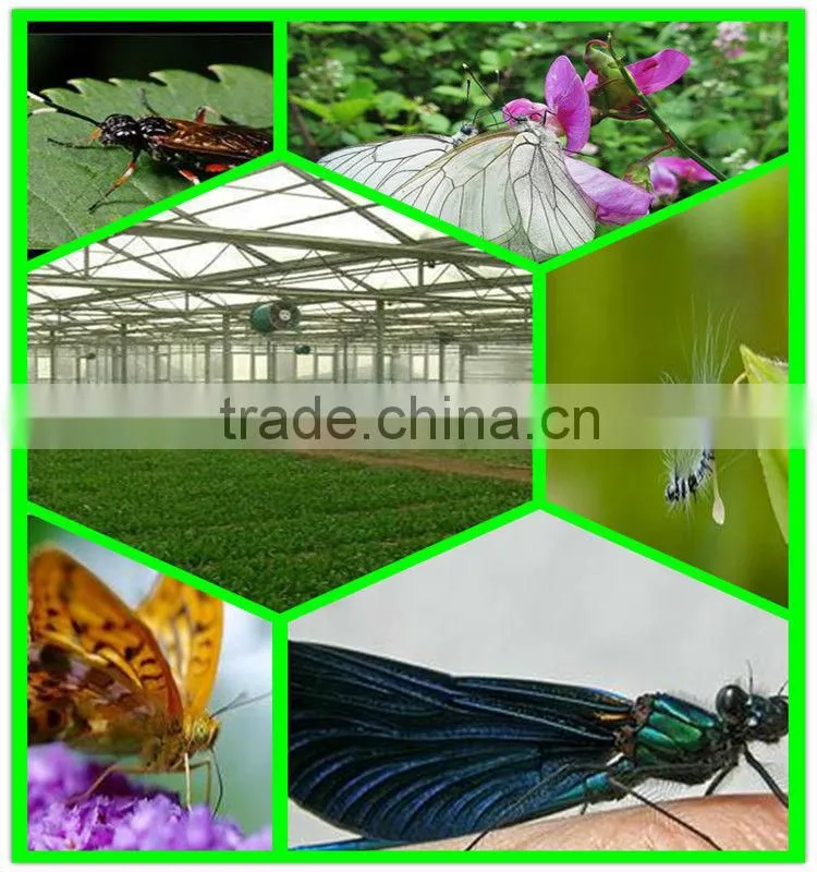 virgin hdpe cultivation anti-insect netting