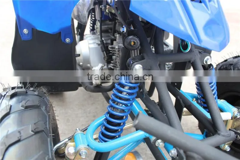 110cc sports dune buggy for adults/kids with CE/EPA on sale