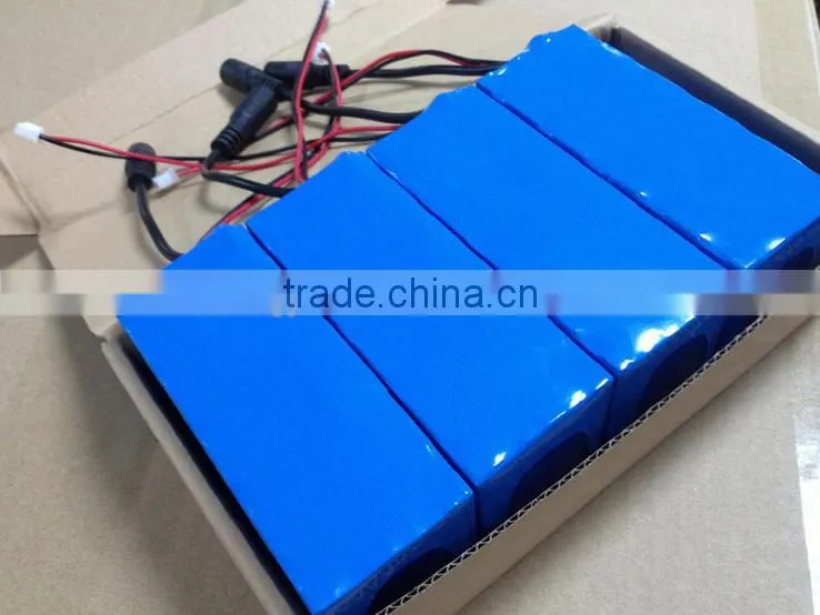 24v /36V/ 48V 10Ah / 12AH / 16AH/ 20AH Electric Bicycle battery