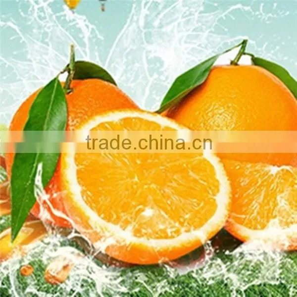 Hot selling fresh navel orange