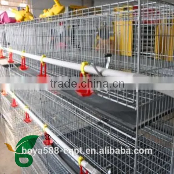 poultry farm automatic drinking system feeding system for 10000 chickens