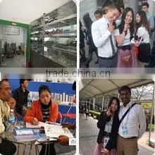 Huizhou Dexiang Electronic Technology Co., Ltd. company overview - view 3