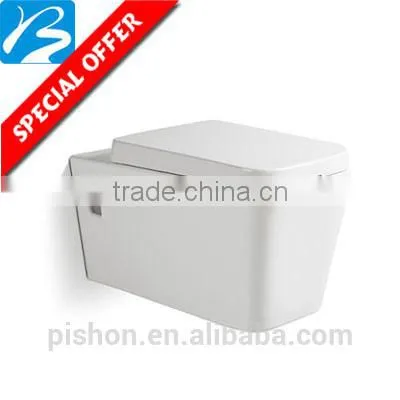 European Standard washdown two piece toilet