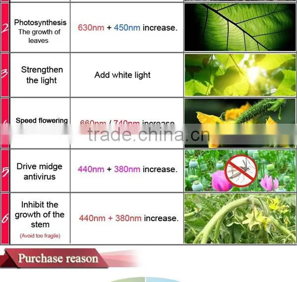 Tri Spectrum Led Grow Light 10W/ 20w/ 30w/ 50w , 10 Watt Wterproof Led Grow Light