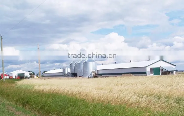 ISO9001:2008 steel structure poultry farms eastern asia for Algeria