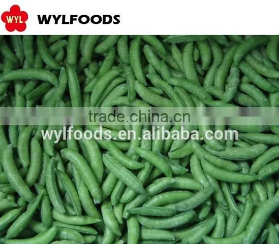 china reliable price iqf baby oyster mushroom 2015