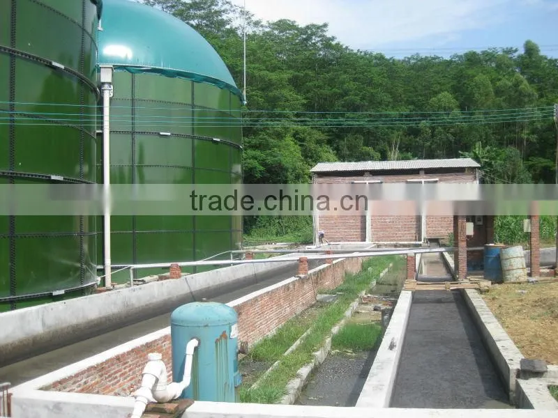 Farm Waste/Animal Waste Biogas Power Plant/Biomass Cogeneration Plant 20KW-500KW