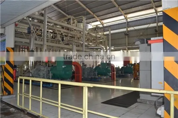 All kinds of size /samll scale palm oil refining machinery