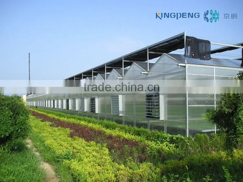 greenhouses for mushroom