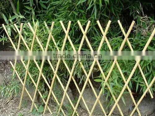 Tonkin Bamboo Cane/Cane Bamboo/Bamboo Pole